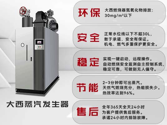 大西锅炉燃气蒸汽爆发器